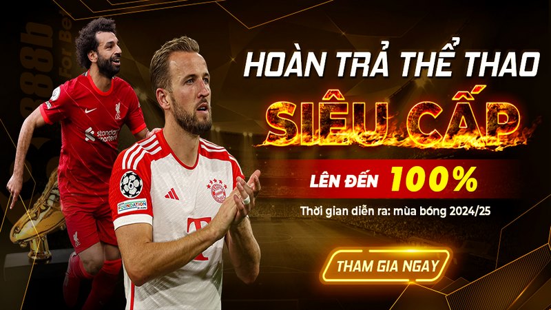 Thể thao 888B là một trong những nền tảng cá độ trực tuyến nổi tiếng